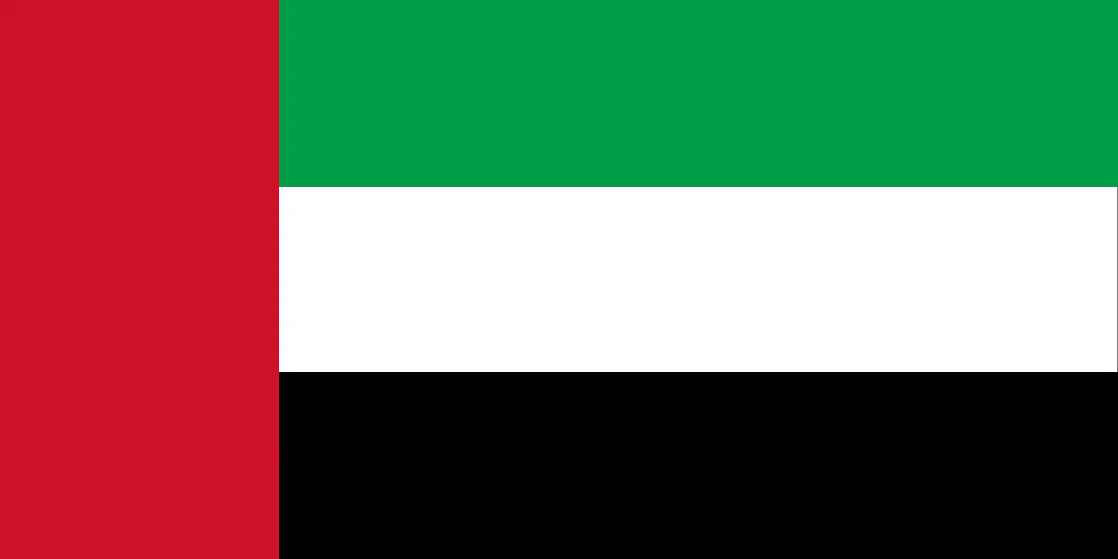 Testi flag