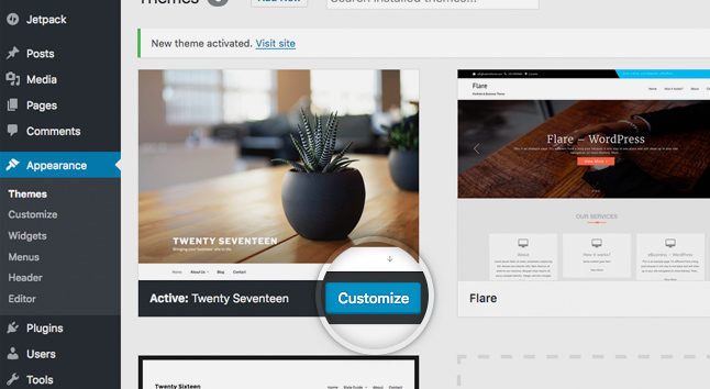 customize your WordPress theme