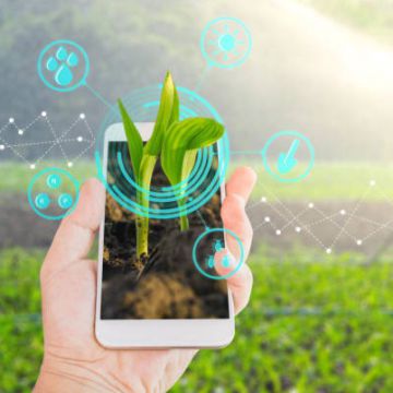 smart agriculture