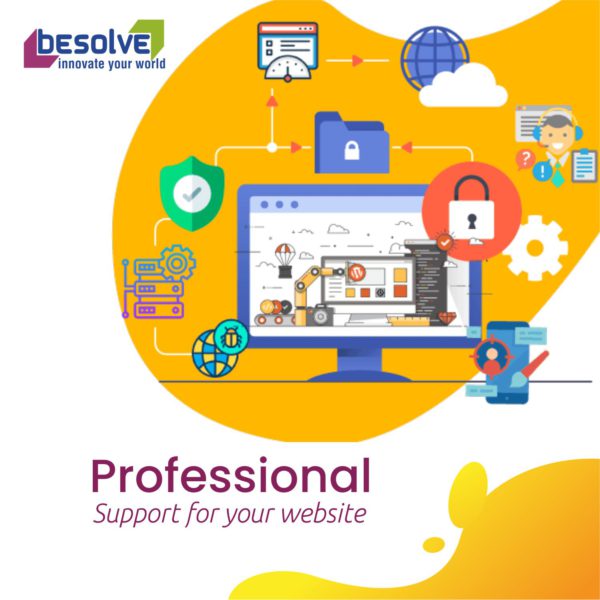 Professional Support for website